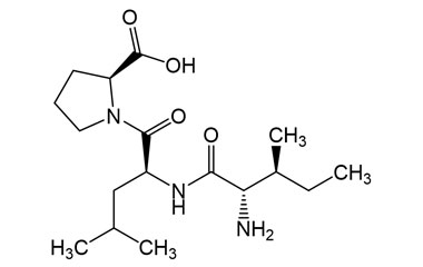 PA PEP 004004