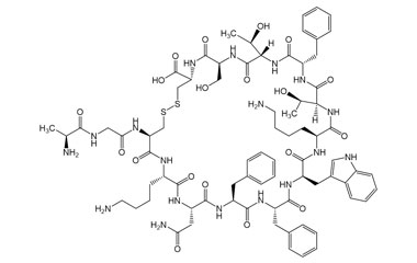 PA PEP 004019