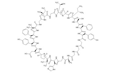 PA PEP 004024