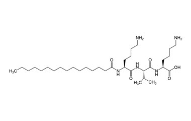 PA PEP 004025