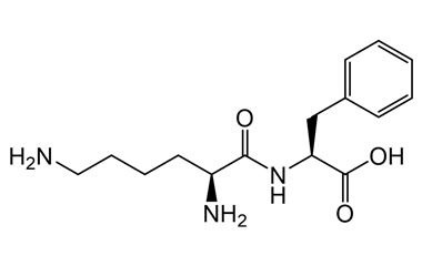PA PEP 004027