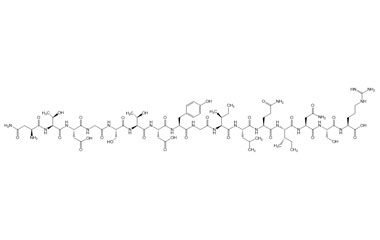 PA PEP 004034