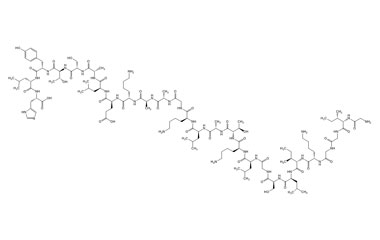 PA PEP 004040