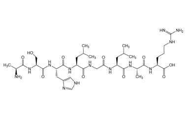 PA PEP 004043