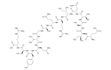 PA PEP 004062