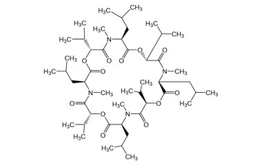 PA PEP 004064