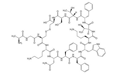 PA PEP 004066