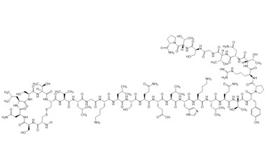 Des-Gly(30) Calcitonin Salmon PA PEP 004070