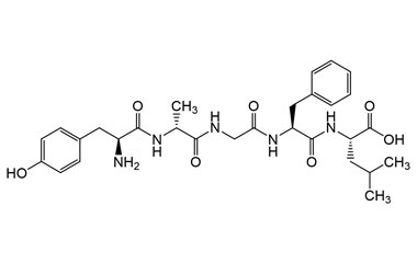 PA PEP 004074