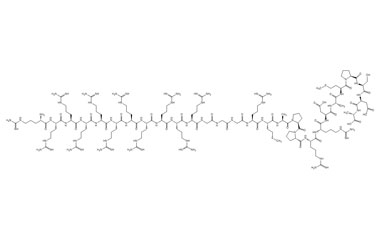PA PEP 004076