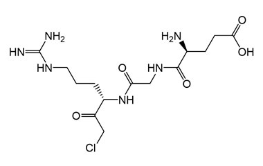 PA PEP 004077