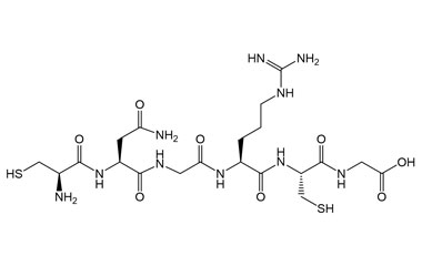 PA PEP 004078
