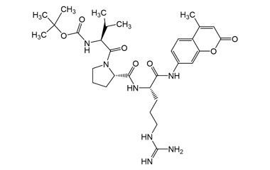 PA PEP 004080