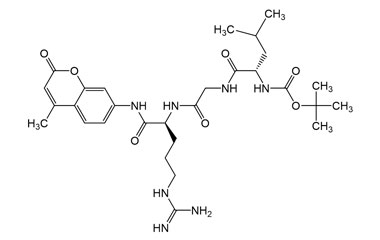 PA PEP 004082