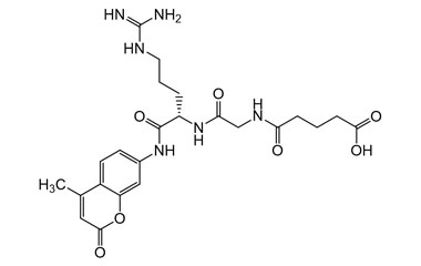 PA PEP 004083