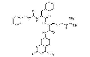 PA PEP 004085