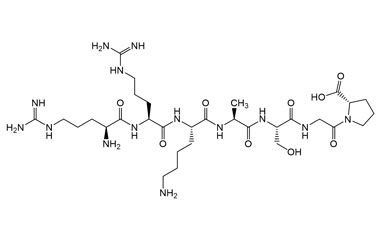 PA PEP 004088