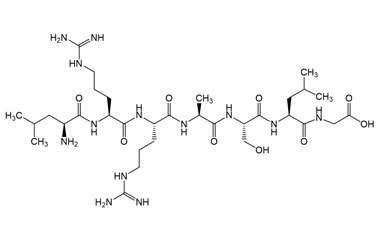 PA PEP 004089