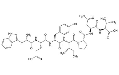 PA PEP 004091