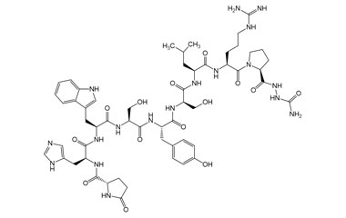PA PEP 004095
