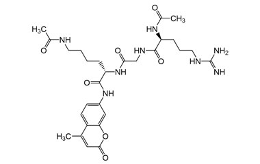 PA PEP 004098