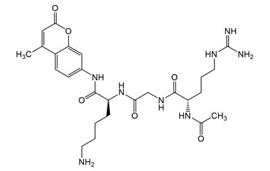 PA PEP 004099