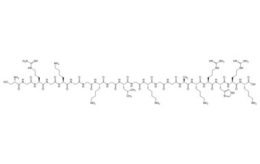 PA PEP 004113