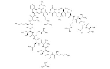 PA PEP 004122
