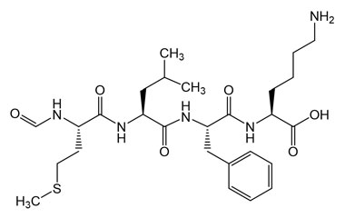 PA PEP 004124