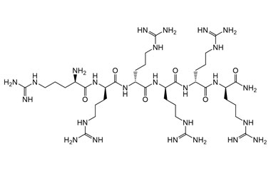 PA PEP 004129