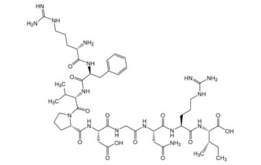 PA PEP 004135