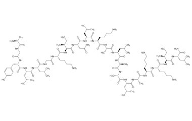 PA PEP 004142
