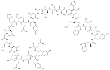 PA PEP 004145