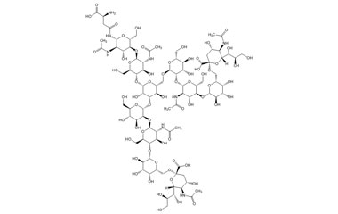 PA PEP 004147