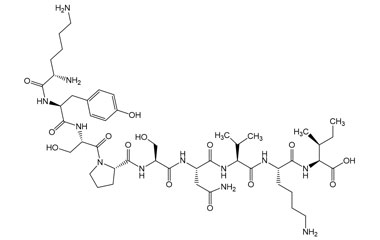 PA PEP 004153