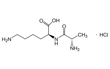 PA PEP 004154