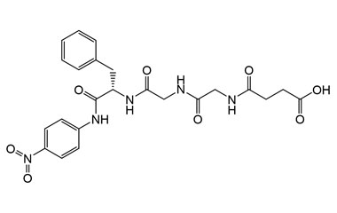 PA PEP 004155