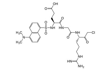 PA PEP 004156