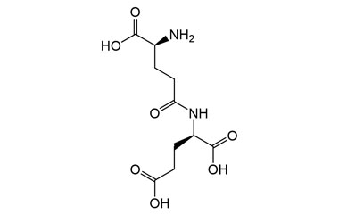PA PEP 004158