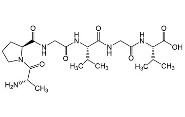PA PEP 004174