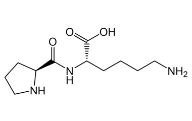 PA PEP 004186