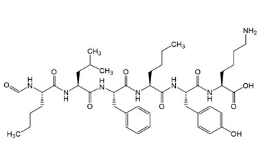 PA PEP 004197