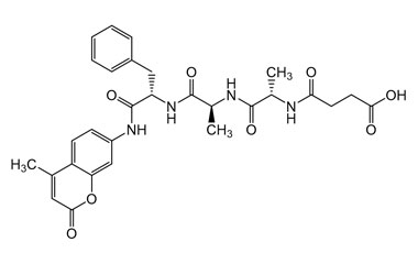 PA PEP 004200
