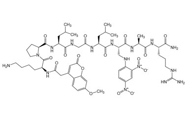 PA PEP 004201