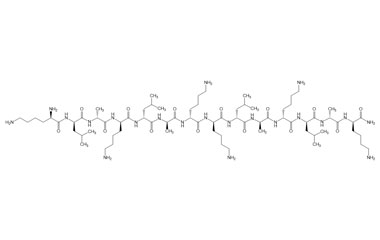 PA PEP 004204