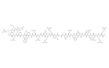 PA PEP 004206