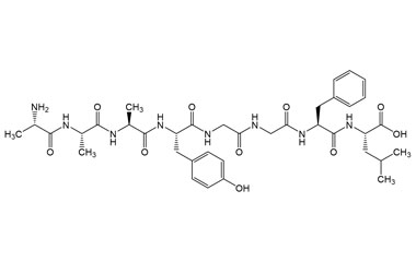 PA PEP 004213