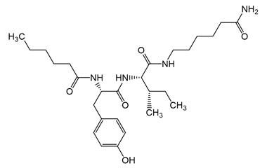 PA PEP 004216