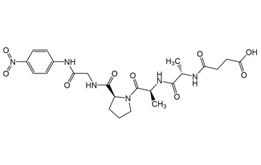 PA PEP 004219