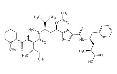 PA PEP 004941